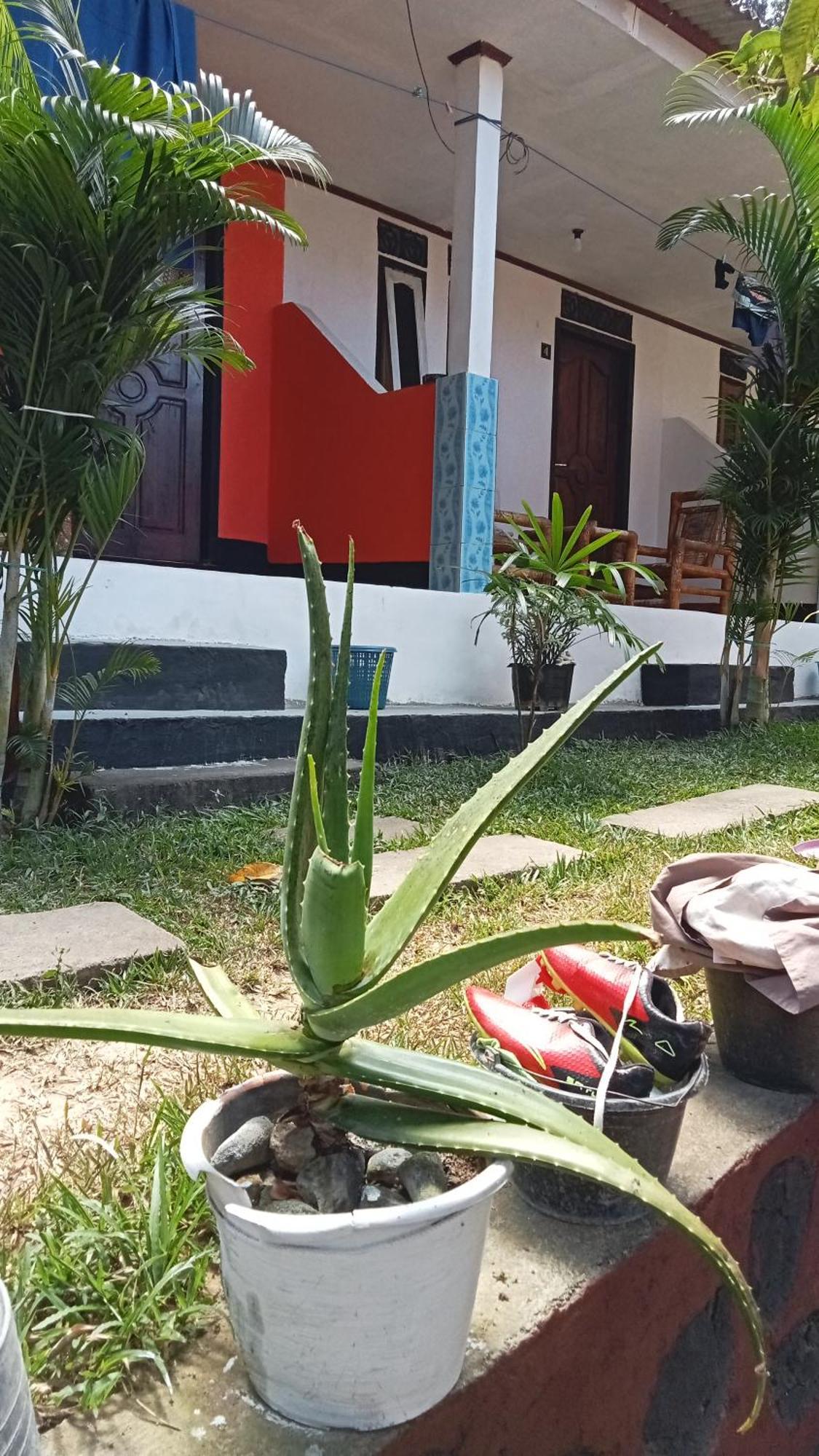 Roy Homestay Kuta Kuta  外观 照片